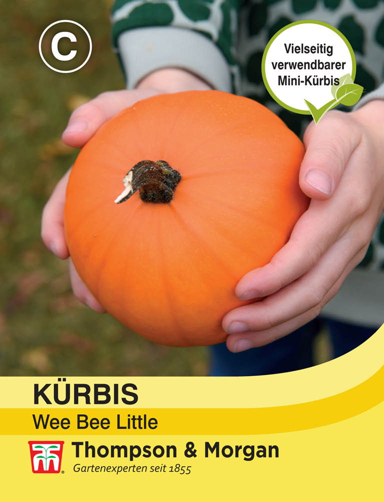 Kürbis Wee little - Königliche Gartenakademie