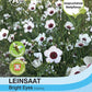 Leinsaat Bright Eyes - Königliche Gartenakademie