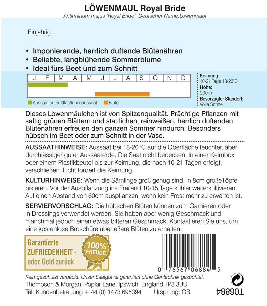 Löwenmaul Royal Bride - Königliche Gartenakademie