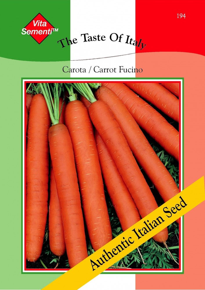 Möhre Carota Fucino