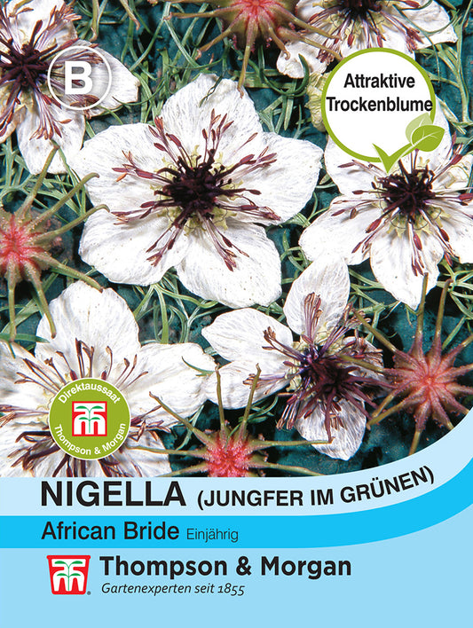 Nigella (Jungfer im Grünen) African Bride - Königliche Gartenakademie