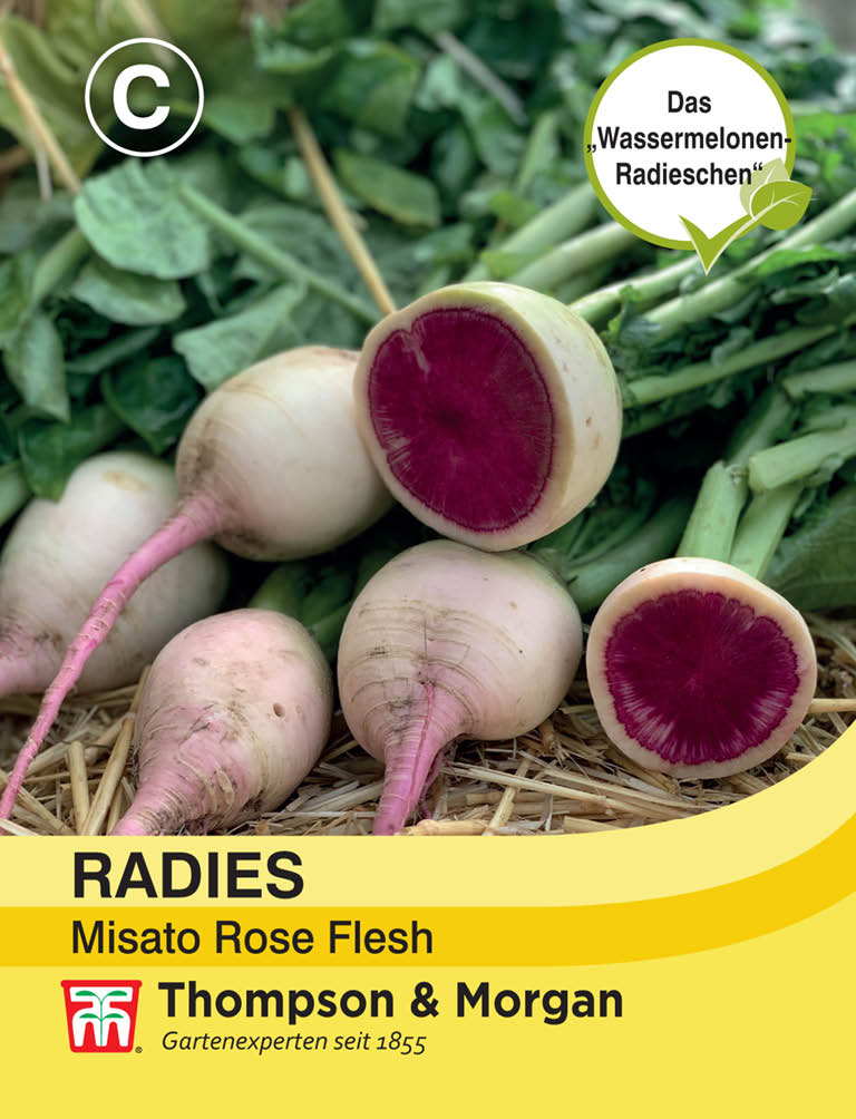 Radieschen Misato Rose Flesh - Königliche Gartenakademie