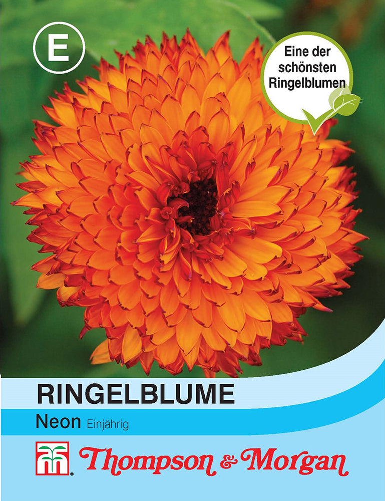 Ringelblume Neon - Königliche Gartenakademie
