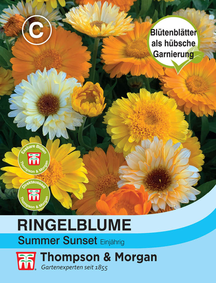 Ringelblume Summer Sunset - Königliche Gartenakademie