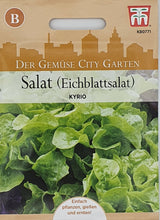 Lade das Bild in den Galerie-Viewer, Salat (Eichblattsalat) Kyrio - Königliche Gartenakademie
