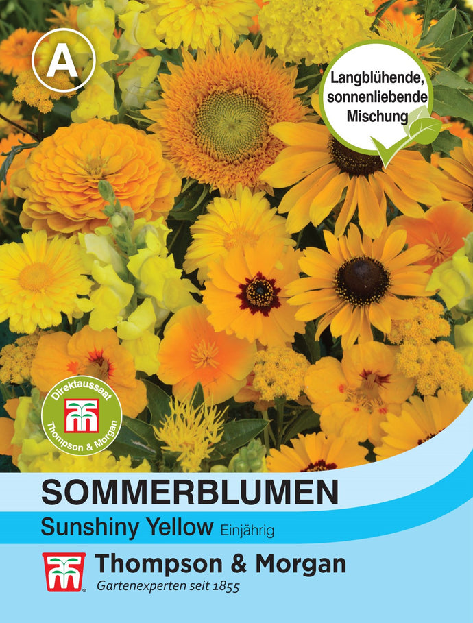 Sommerblumen Sunshiny Yellow - Königliche Gartenakademie