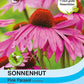 Nahaufnahme von leuchtend rosa Sonnenhut (Echinacea) Pink Parasol von Thompson und Morgan mit orangefarbenen Zentren. Große Blüten (7–10 cm), bienenfreundlich und zieht Schmetterlinge an.