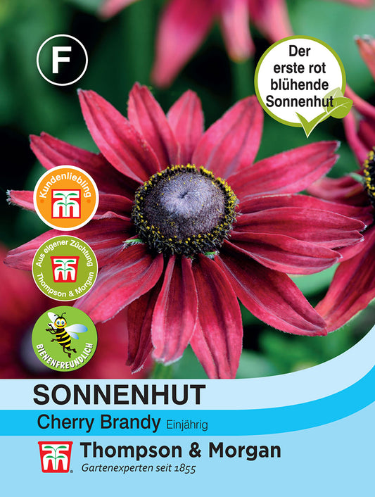 Sonnenhut Cherry Brandy - Königliche Gartenakademie