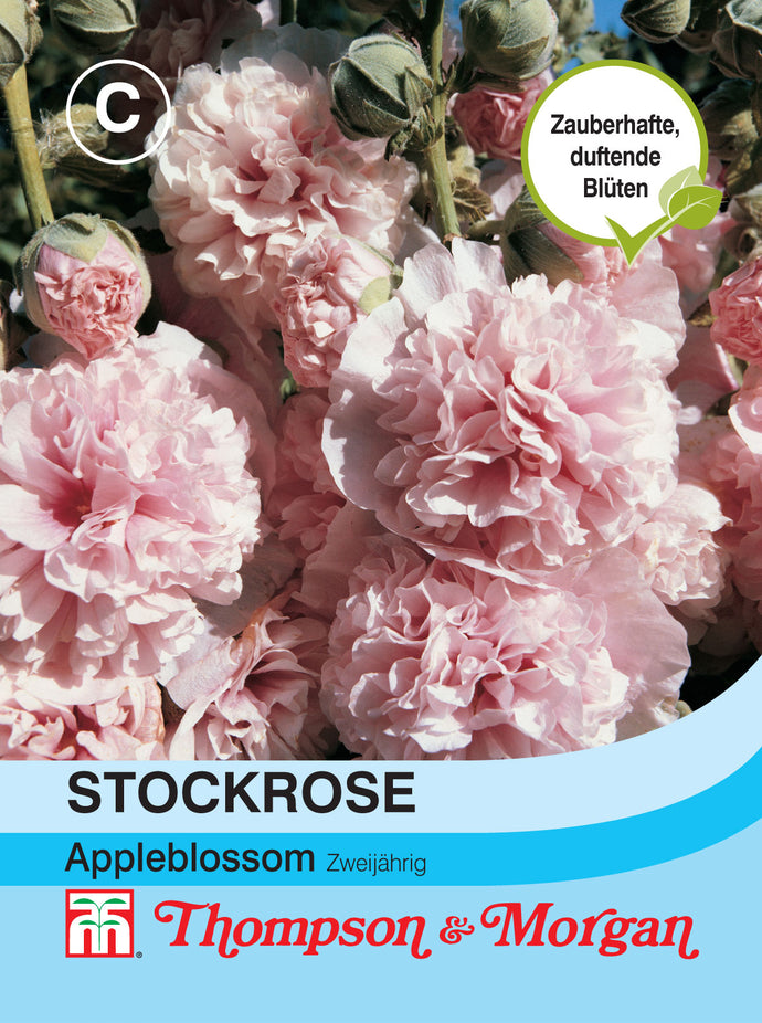 Stockrose Appleblossom