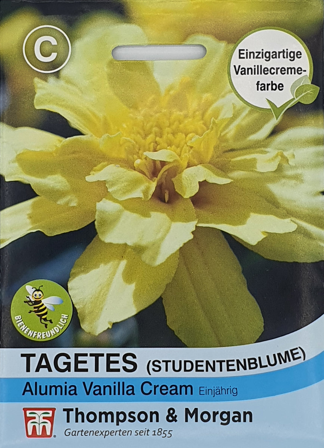 Tagetes (Studentenblume) Alumia Vanilla Cream - Königliche Gartenakademie