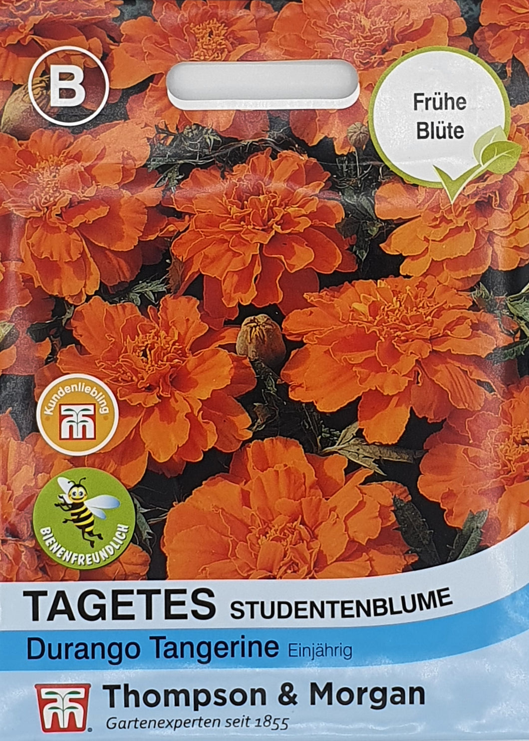 Tagetes (Studentenblume) Tangerine F1 Hybride - Königliche Gartenakademie