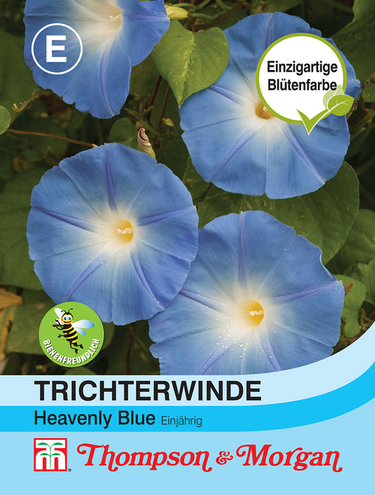 Trichterwinde Heavenly Blue - Königliche Gartenakademie
