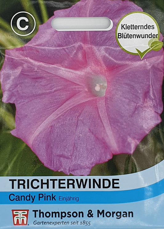 Trichterwinde Candy Pink - Königliche Gartenakademie