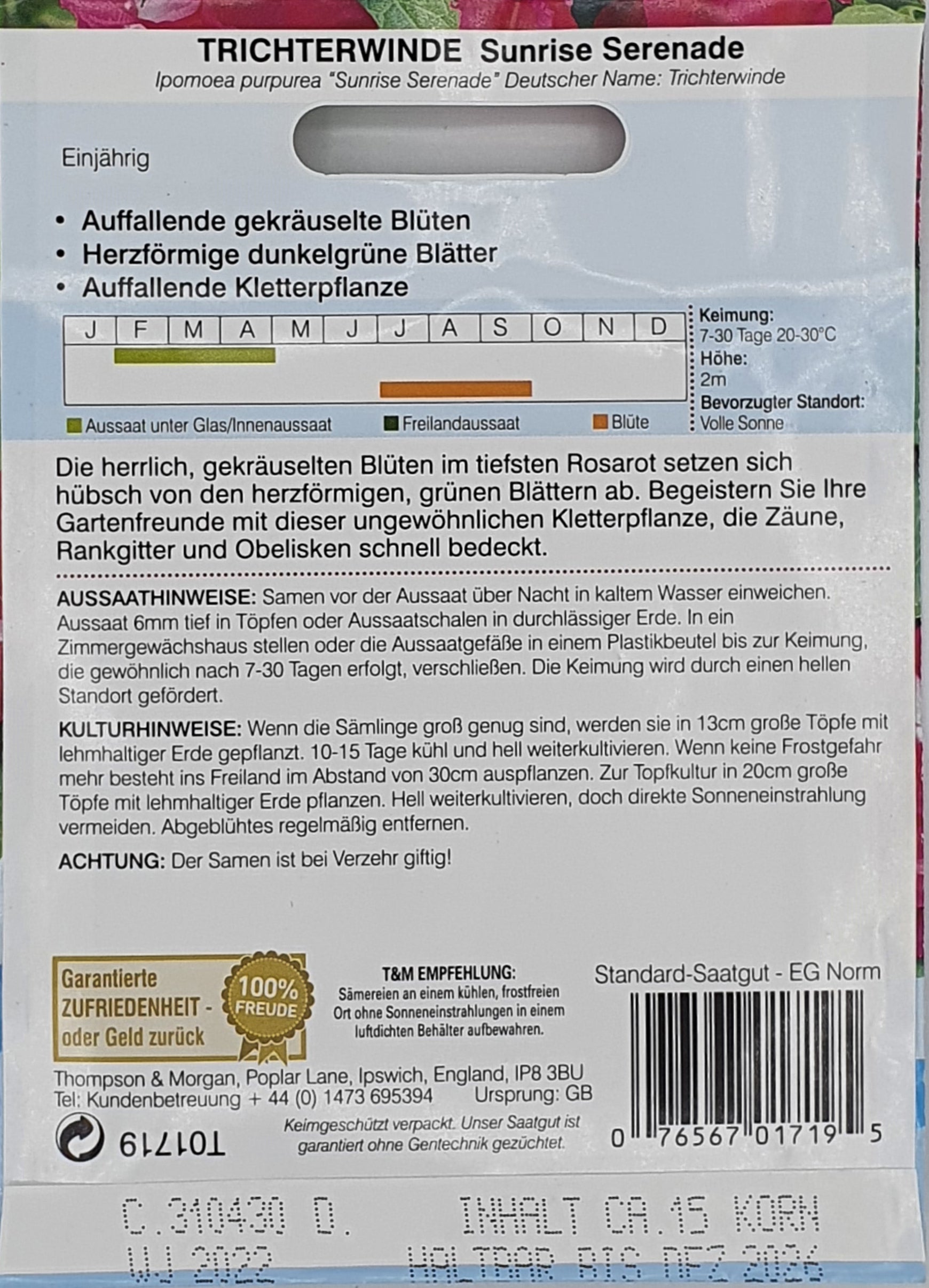 Trichterwinde Sunrise Serenade - Königliche Gartenakademie