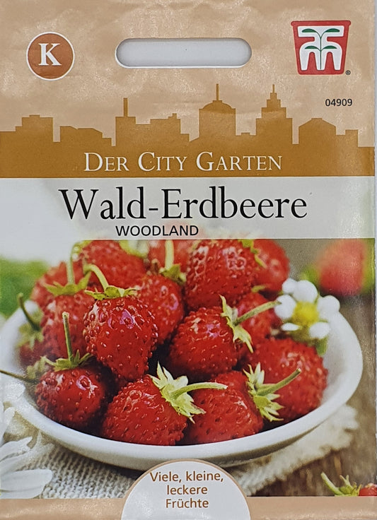 Wald-Erdbeere Woodland - Königliche Gartenakademie