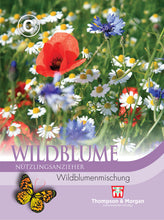 Lade das Bild in den Galerie-Viewer, Wildblume Blumenwiese
