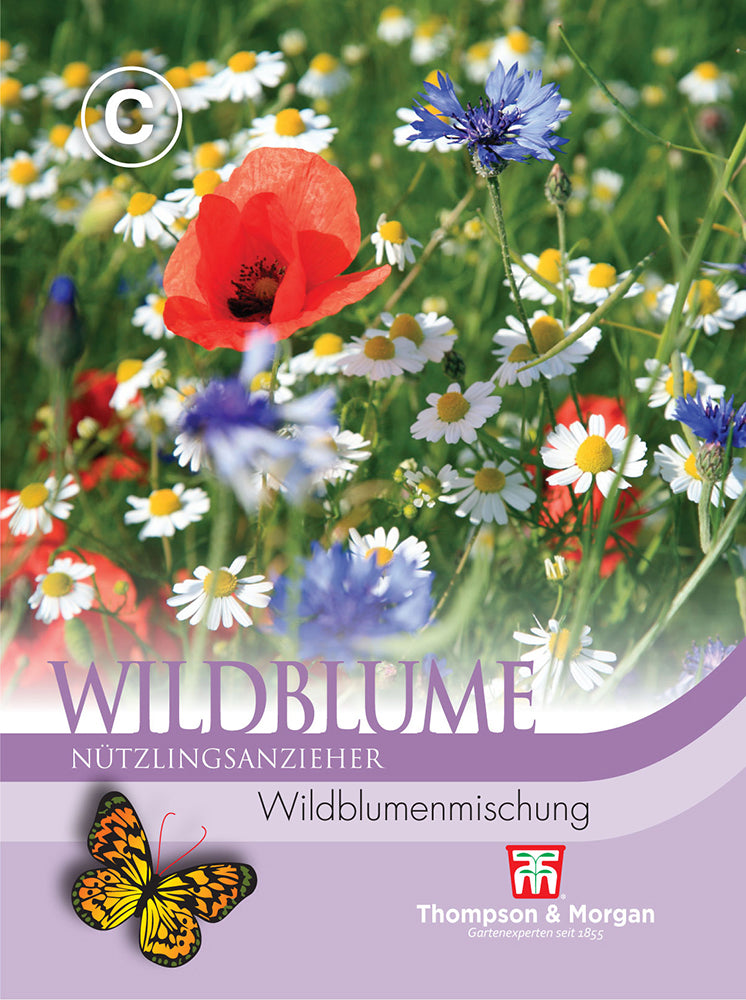 Wildblume Blumenwiese
