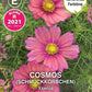 Schmuckkörbchen Xsenia (Cosmos) - Königliche Gartenakademie