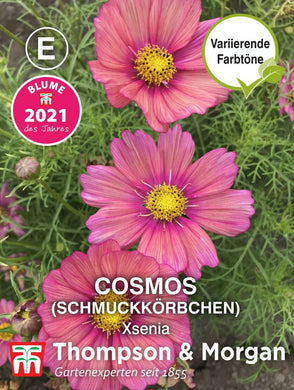 Schmuckkörbchen Xsenia (Cosmos) - Königliche Gartenakademie