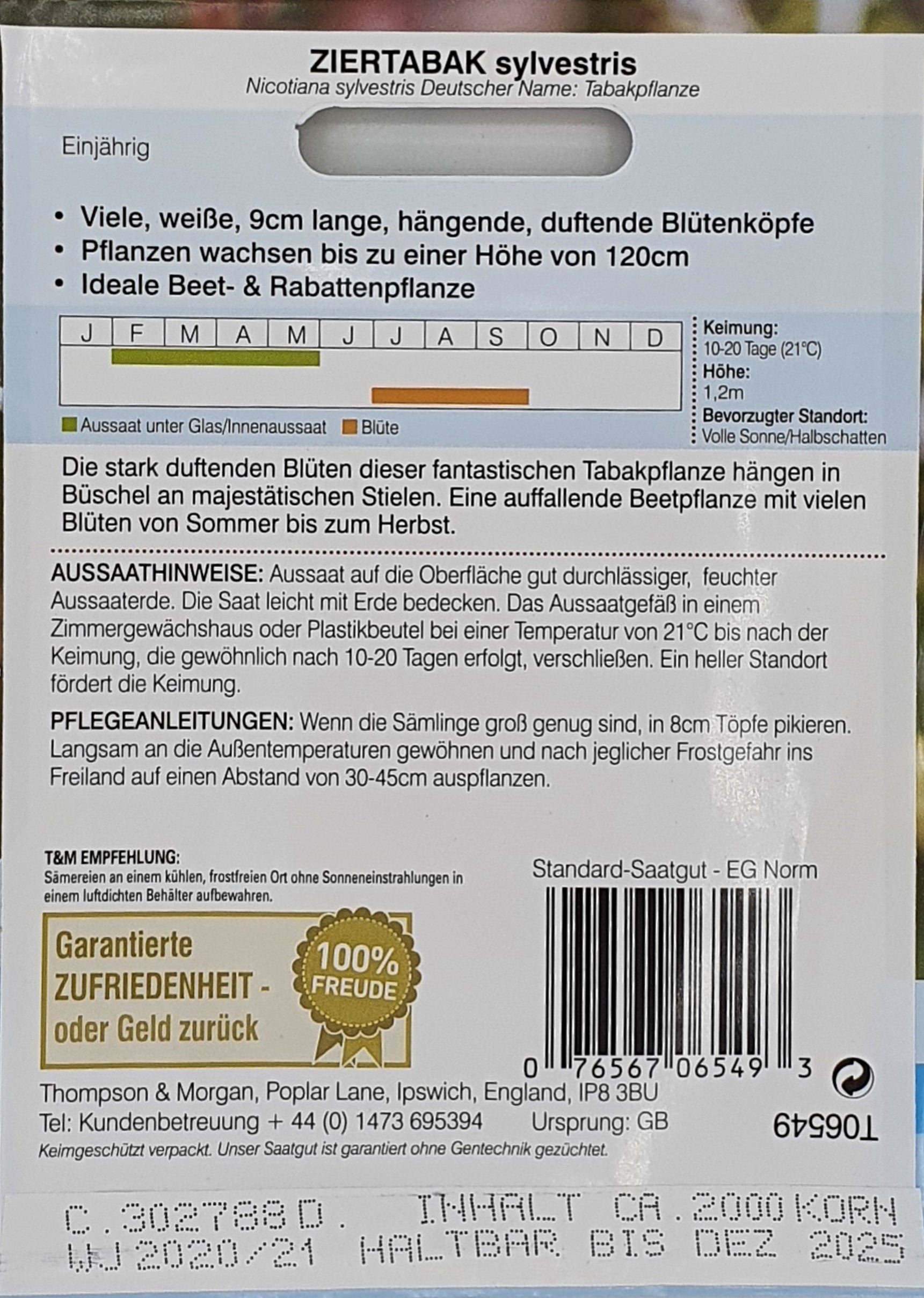 Ziertabak sylvestris - Königliche Gartenakademie