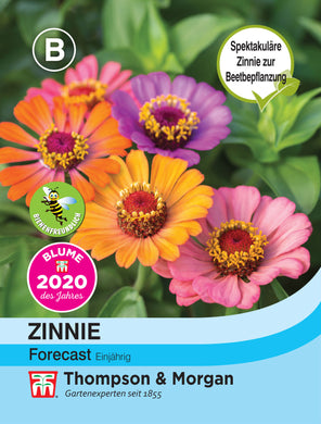 Zinnie Forecast - Königliche Gartenakademie