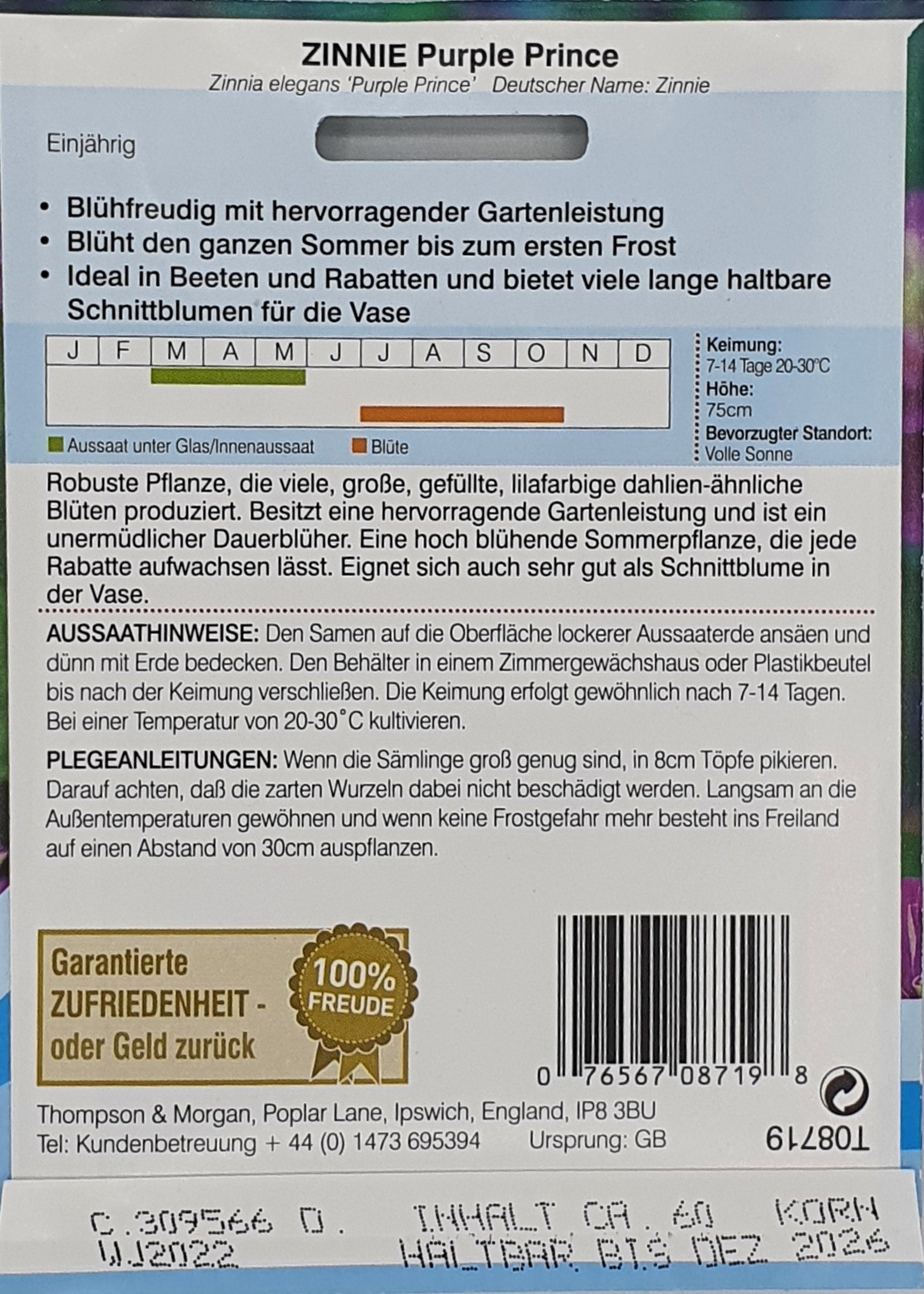 Zinnie Purple Prince - Königliche Gartenakademie