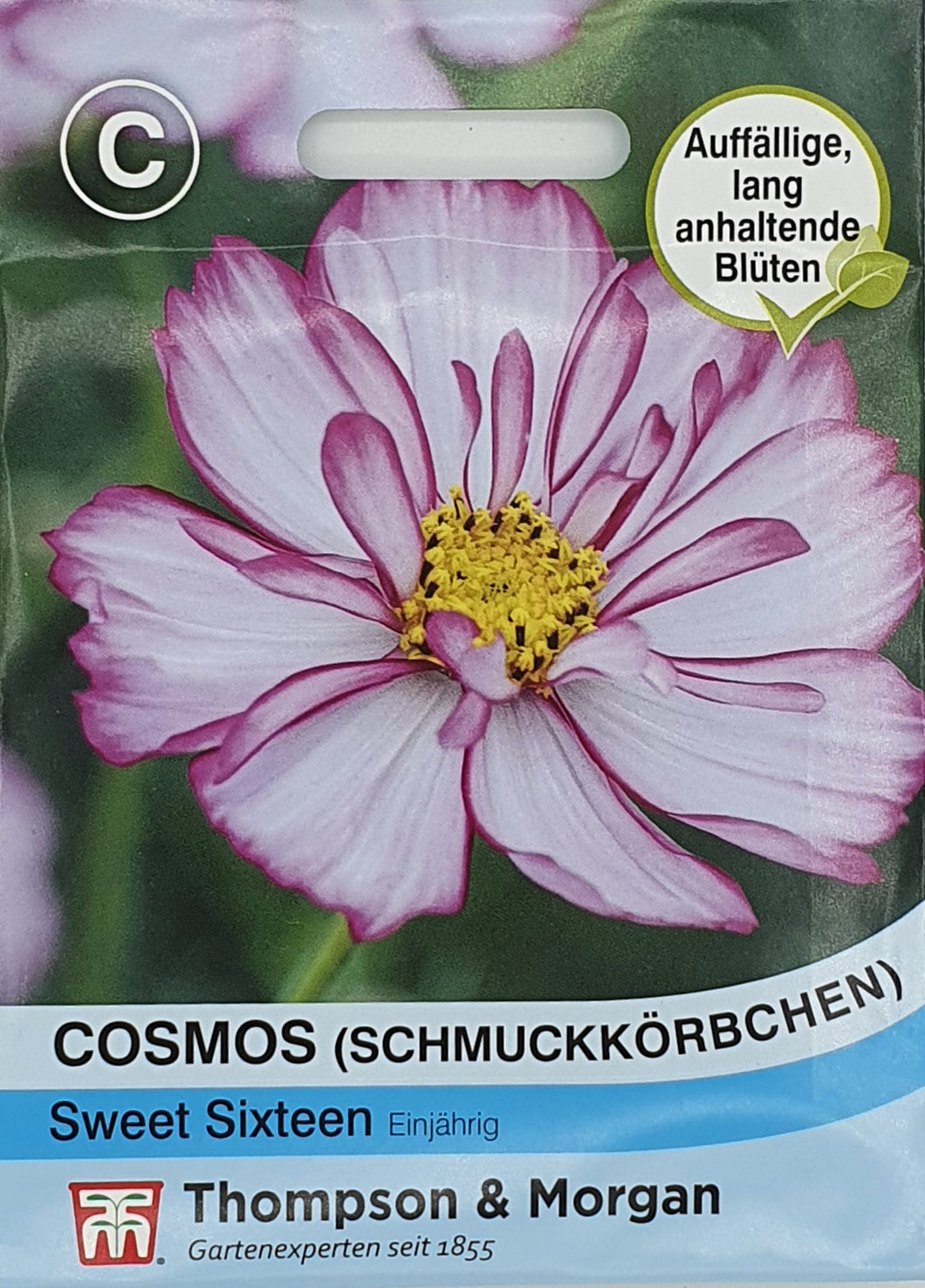 Cosmos (Schmuckkörbchen) Sweet Sixteen - Königliche Gartenakademie