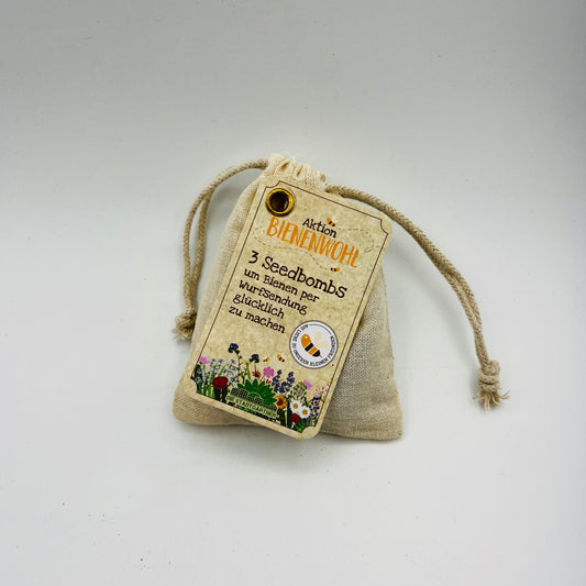 Ein kleiner beiger Kordelzugbeutel mit der Aufschrift „Stadtgärtner Bienenwohl Samenbomben“ enthält 3 bienenfreundliche Saatgut-Samenbomben, unten mit bunten Blumen und Bienen auf einem schlichten weißen Hintergrund dargestellt.