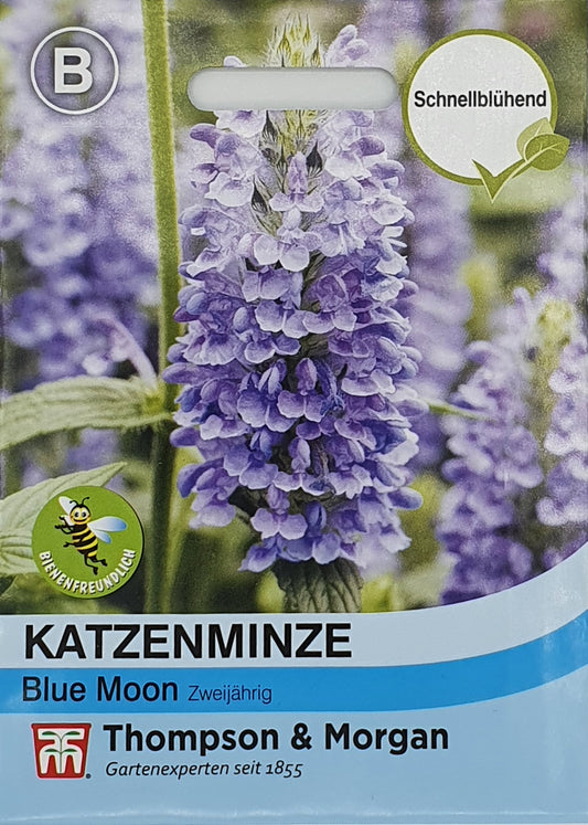 Katzenminze Blue Moon - Königliche Gartenakademie
