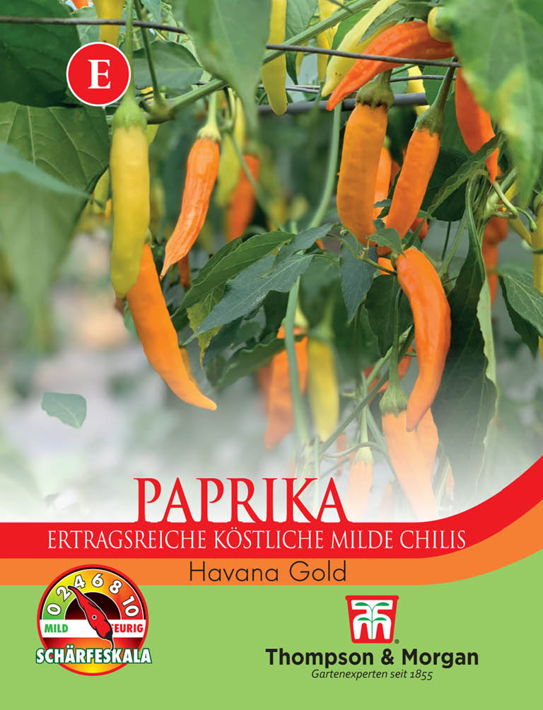 Paprika Havana Gold - Königliche Gartenakademie